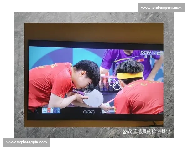 掌握关键技巧提升观赛体验全面解析体育赛事精彩瞬间